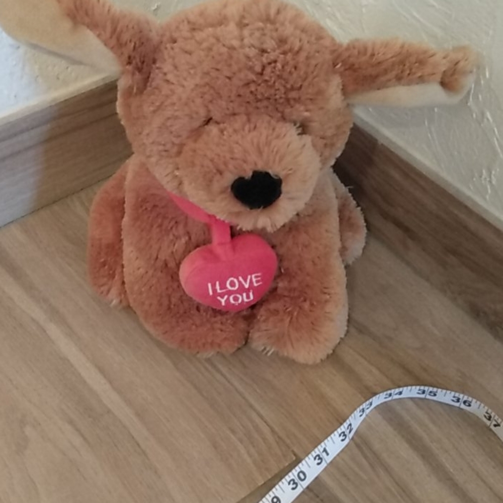 I love you Puppy now available for adoption